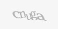 Código de segurança